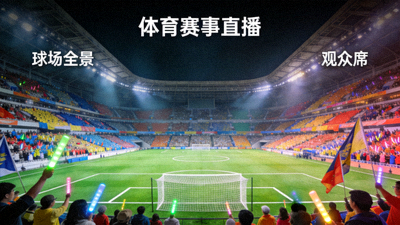 体育赛事直播画面预览 - 球场全景与观众席